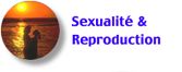 Sexualite reproduction